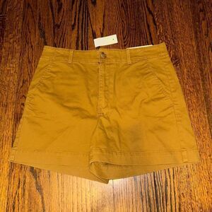 New Loft Shorts